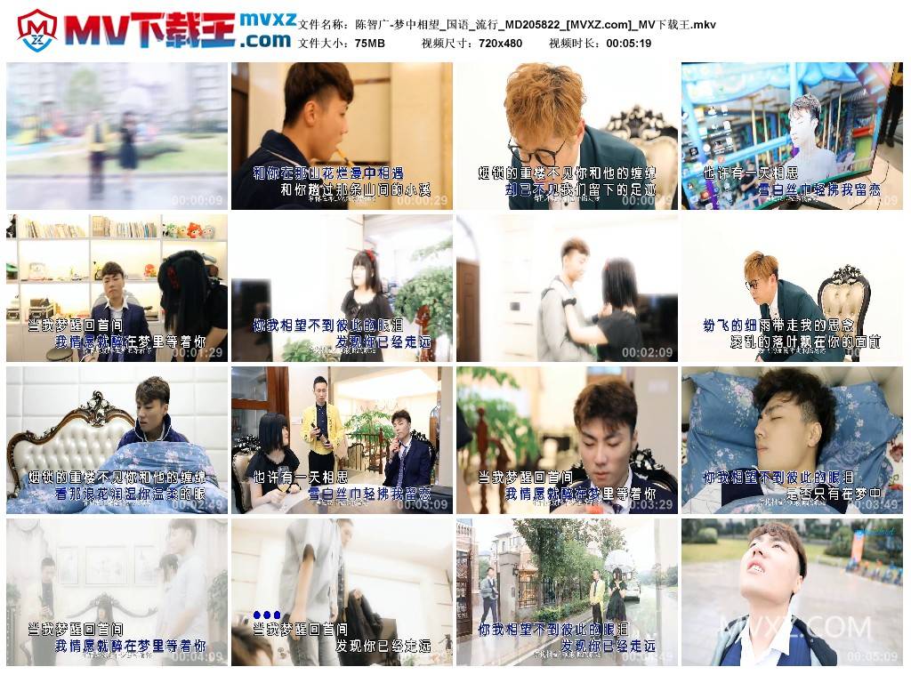 陈智广-梦中相望_国语_流行_MD205822